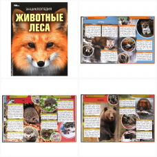 Животные леса. Энциклопедия. 197х255 мм. 7БЦ. 48 стр. Умка  978-5-506-09108-0     