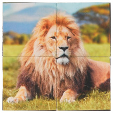 Набор из 4-и кубиков пленка  