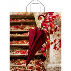 Пакет полиэтиленовый с петлевой ручкой  Пакет полиэтиленовый с петлевой ручкой