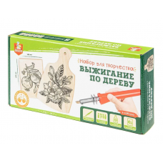 Выжигание. Набор для выжигания по дереву (аппарат с насадками, доска 1 шт, доска разделочная 1 шт) 04387    Выжигание. Набор для выжигания по дереву (аппарат с насадками, доска 1 шт, доска разделочная 1 шт) 04387