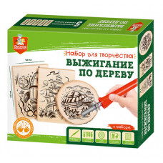 Выжигание. Набор для выжигания по дереву (аппарат с насадками, доски 3 шт, спил 1 шт) 04388 Выжигание. Набор для выжигания по дереву (аппарат с насадками, доски 3 шт, спил 1 шт) 04388