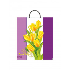 Пакет полиэтиленовый с пластиковой ручкой Нежные тюльпаны 38х44 НФ-00004183 Пакет полиэтиленовый с пластиковой ручкой Нежные тюльпаны 38х44 НФ-00004183