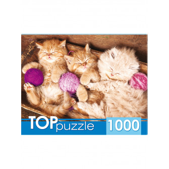 TOPpuzzle. ПАЗЛЫ 1000 элементов. ГИТП1000-4140 Спящие котята с клубками