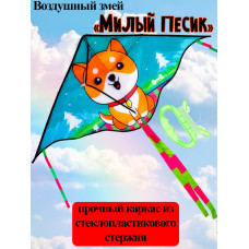Воздушный змей 